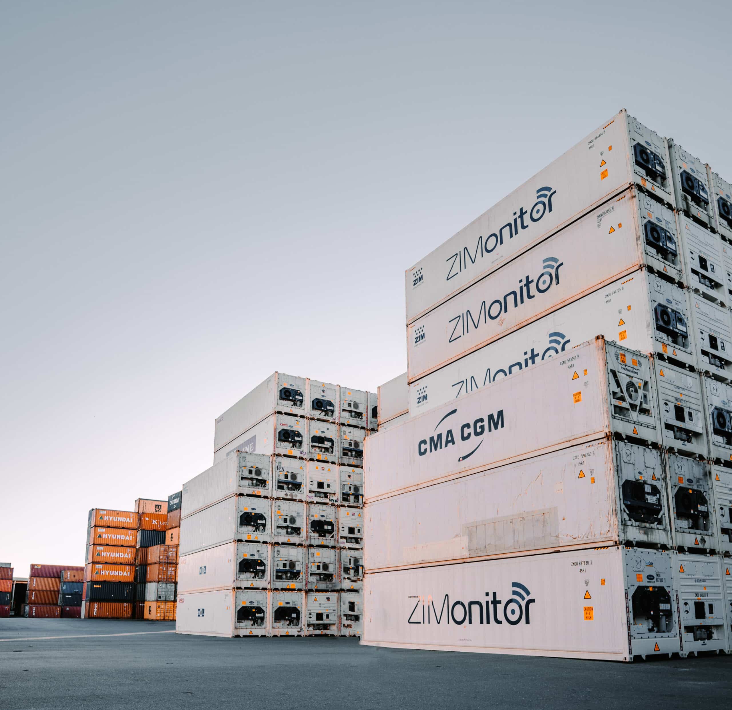Les différences entre un container reefer et un container ex reefer
